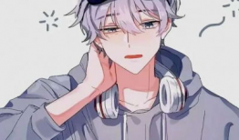 高冷男动漫,高冷动漫角色的魅力解析