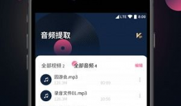 视频音频提取器,视频音频提取器深度解析
